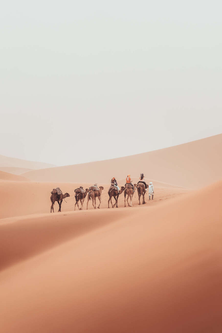 Sahara Desert in Morocco